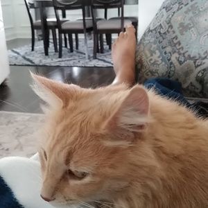 Meet your Posher, Richard